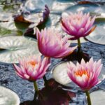 Stijlvolle verhoogde vijverbak in een moderne tuin met planten en waterpartijen.